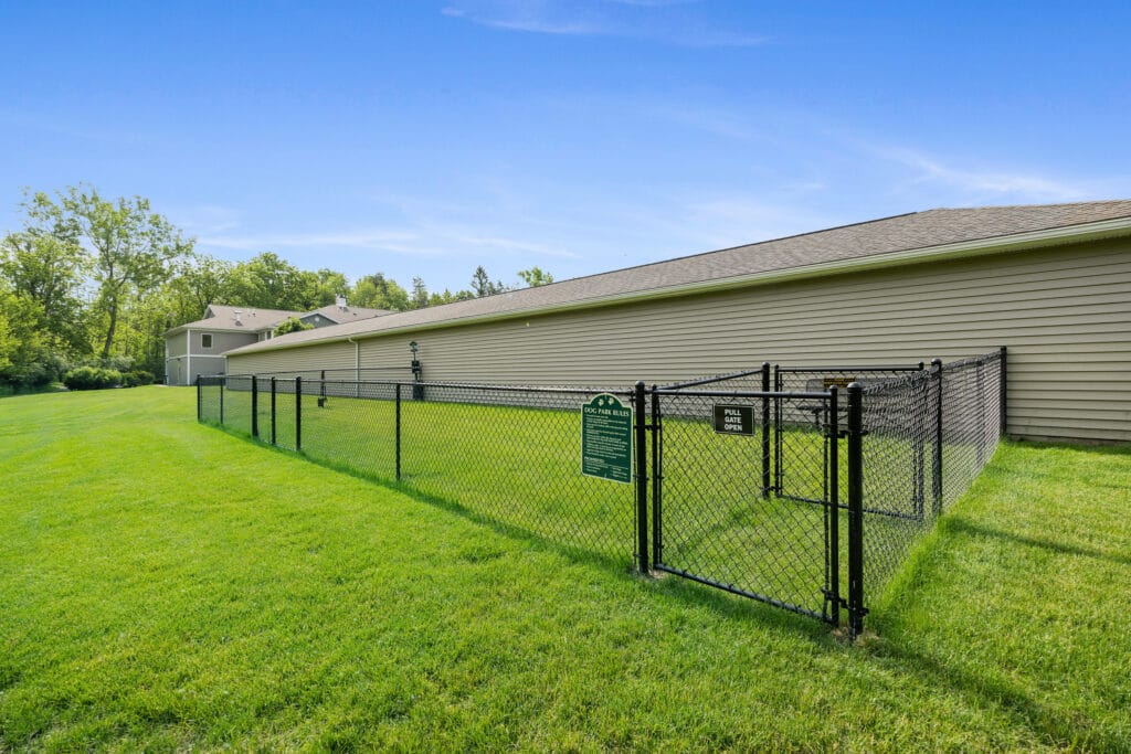 Dog Park